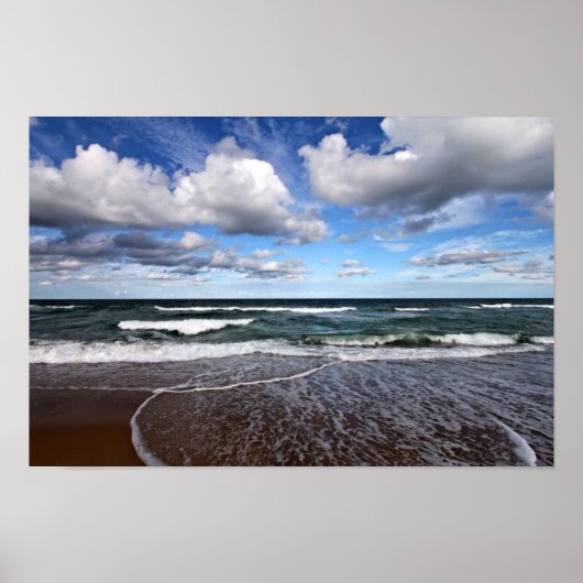 Kat Hawk Surf Poster (Voorkant)