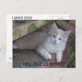 Kat - HÉ, RAAD EENS? IK MIS JE Briefkaart (Voorkant / Achterkant)