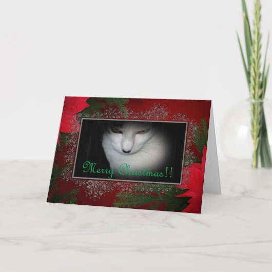 Kat heeft een kerstkaart. feestdagen kaart (Voorkant)