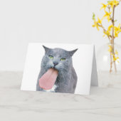 Kat heeft je tong? kaart (Gele Bloem)