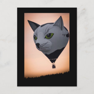 Kat Heet Luchtballon Ansichtkaart Briefkaart