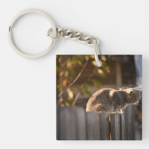 Kat, hek, houten sleutelhanger