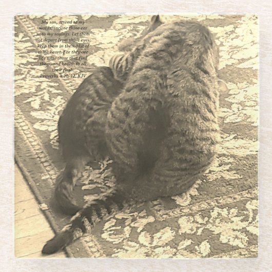 Kat helpt kitten coaster glazen onderzetter (Voorkant)