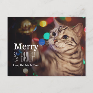 Kat helpt met de kerstboom feestdagenkaart