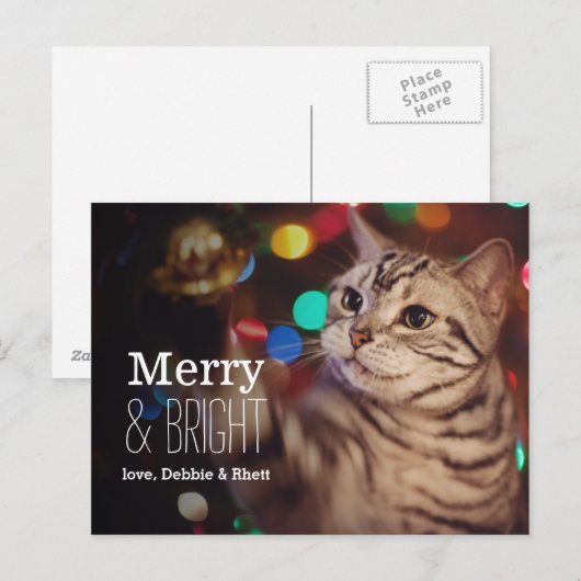 Kat helpt met de kerstboom feestdagenkaart (Voorkant / Achterkant)