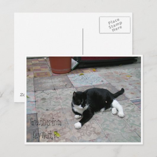 Kat hemingway House Briefkaart (Voorkant / Achterkant)