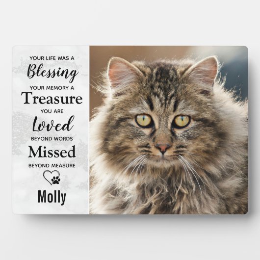 Kat Herdenking Dierbare Overledenen Fotoplaat (voorkant)