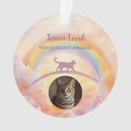 Kat Herdenkings Acryl Ornament Regenboogbrug