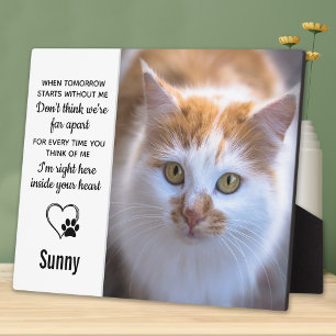 Kat Herdenkingsgeschenk - Aandenken aan huisdierve Fotoplaat
