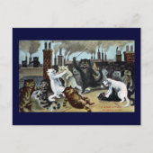 Kat herstelt het op een dak briefkaart (Voorkant)