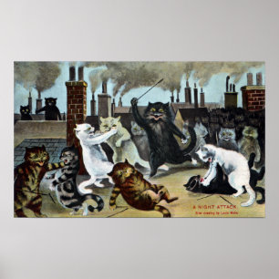 Kat herstelt het op een dak poster