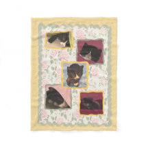 Kat, het Zoete Huis van het Huis van de Katten van