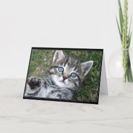 Kat "Hewwo" Kaart