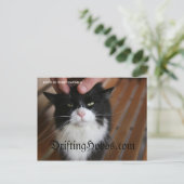 Kat Hobo Briefkaart (Staand voorkant)