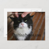 Kat Hobo Briefkaart (Voorkant / Achterkant)
