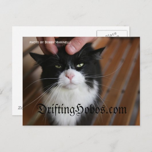 Kat Hobo Briefkaart (Voorkant / Achterkant)