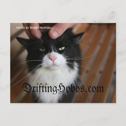 Kat Hobo Briefkaart (Voorkant)