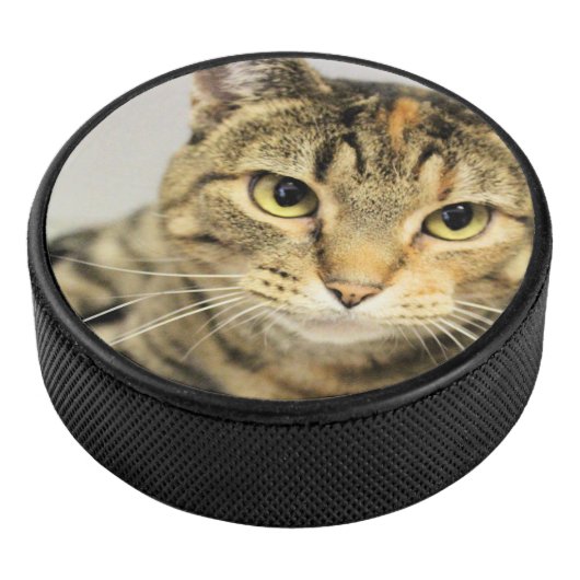 Kat Hockey Puck (3/4)