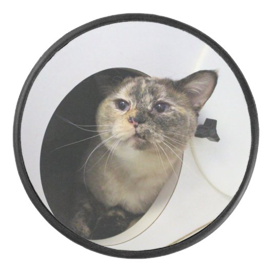 Kat Hockey Puck (Voorkant)