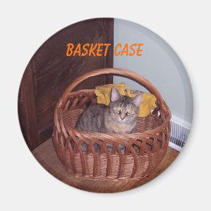 Kat Hoesje mandje Magneet