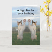 Kat Hoge Vijf van het calico Kaart (Gele Bloem)