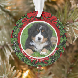 Kat Hond foto Eerste Kerstmis bessen Ornament