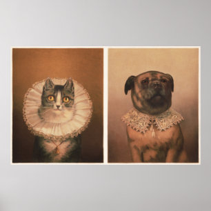 Kat & Hond Poster
