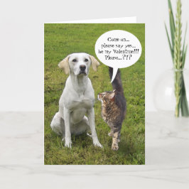 () Kat & Hond Valentijn Feestdagen Kaart