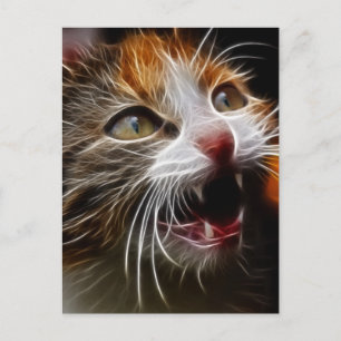 Kat Hongarije Briefkaart