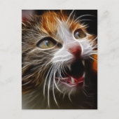 Kat Hongarije Briefkaart (Voorkant)