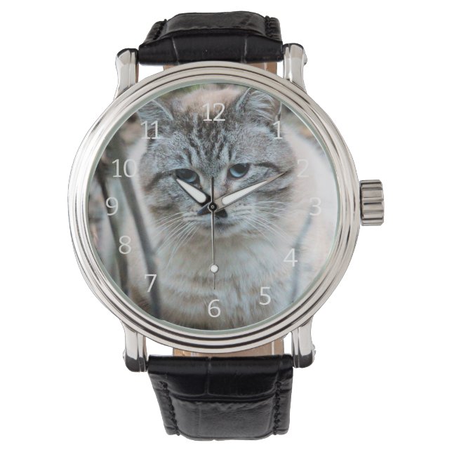 Kat Horloge (Voorkant)