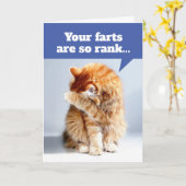 Kat houdnose als gevolg van de borstkas van de geb kaart (Gele Bloem)