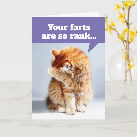 Kat houdnose als gevolg van de borstkas van de geb kaart (Gele Bloem)