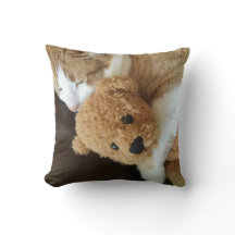 Kat houdt oude teddybeer tegen