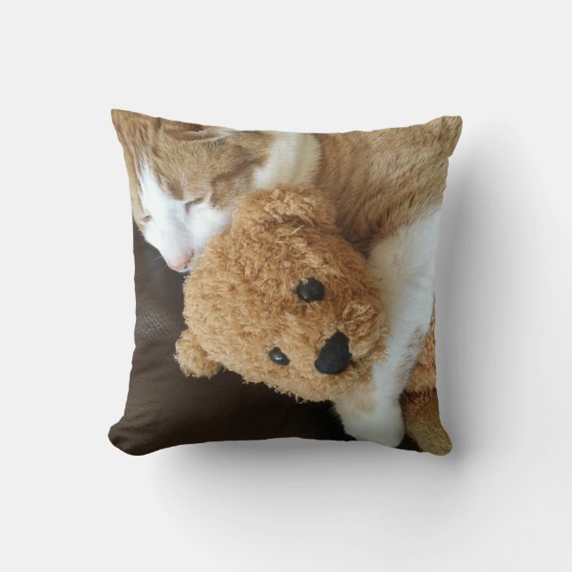 Kat houdt oude teddybeer tegen kussen (Voorkant)