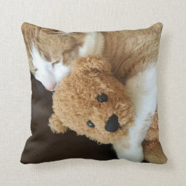 Kat houdt oude teddybeer tegen kussen