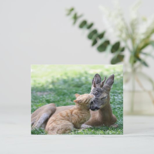 kat houdt van herten briefkaart (Staand voorkant)