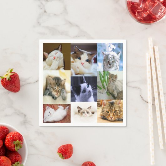 Kat houdt van papieren servetten (Insitu)