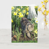 Kat, Huid of Spel, Verjaardag Kaart (Gele Bloem)