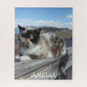 Kat Huisdier Foto, Familie Nacht, Leuke Custom Legpuzzel (Verticaal)