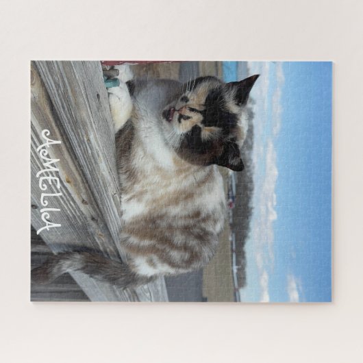 Kat Huisdier Foto, Familie Nacht, Leuke Custom Legpuzzel (Horizontaal)