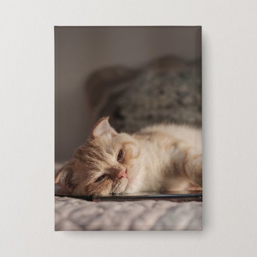 Kat, huisdier, kitten button (Voorkant)