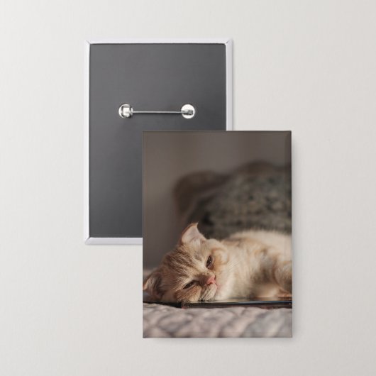 Kat, huisdier, kitten button (Voorkant / Achterkant)