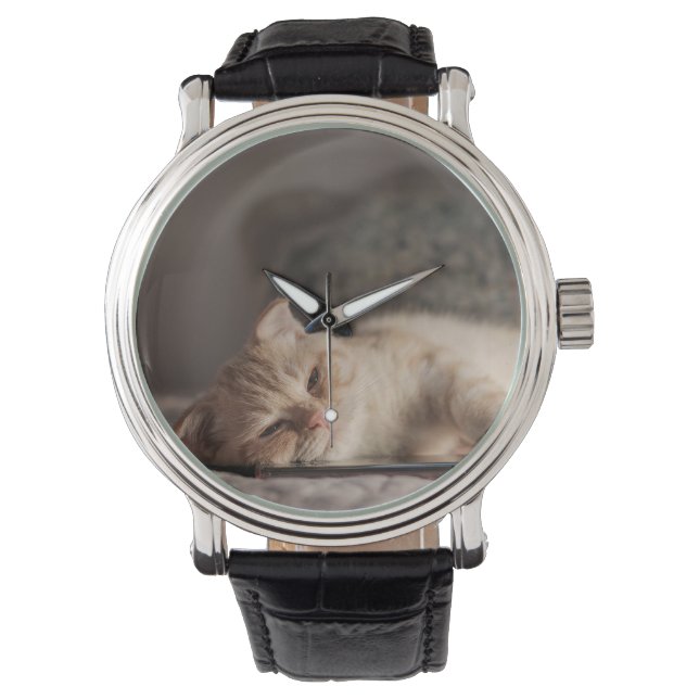 Kat, Huisdier, Kitten Horloge (Voorkant)