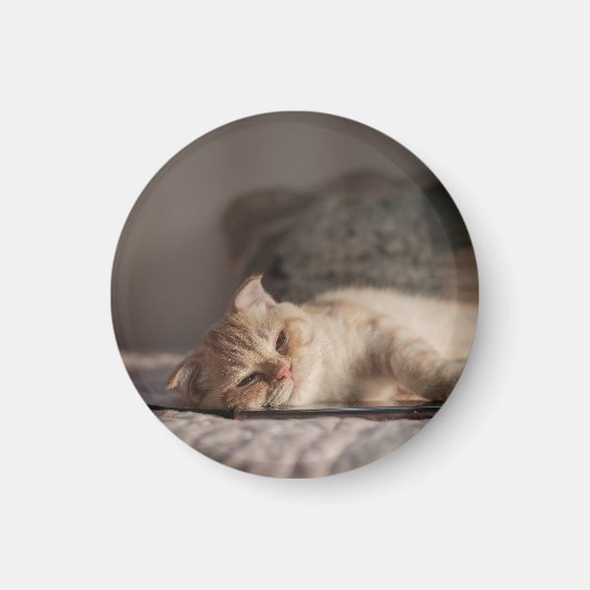 Kat, huisdier, kitten magneet (Voorkant)