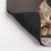 Kat, huisdier, kitten muismat (Hoek)