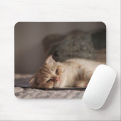 Kat, huisdier, kitten muismat (Met muis)