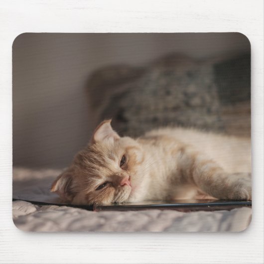 Kat, huisdier, kitten muismat (Voorkant)