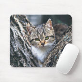 Kat, huisdier, natuur muismat (Met muis)