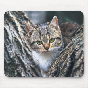 Kat, huisdier, natuur muismat